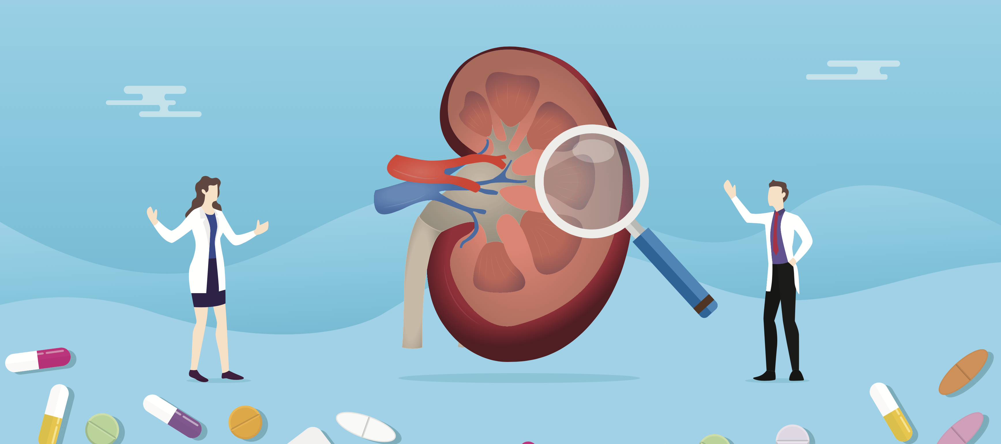 Illustration showing a kidney