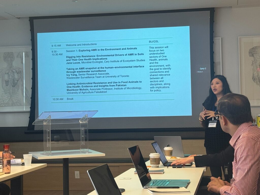 Carly Ching stands in front of a projector screen, presenting her work.