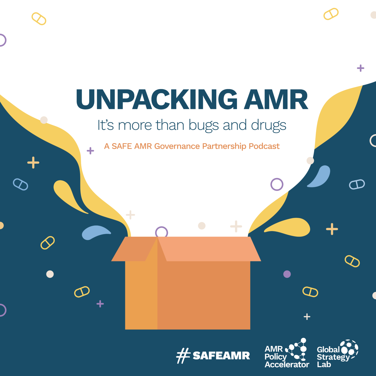 UNPACKING AMR - Global Strategy Lab